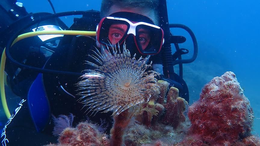Turistlerin yeni gözdesi uçak batığı
