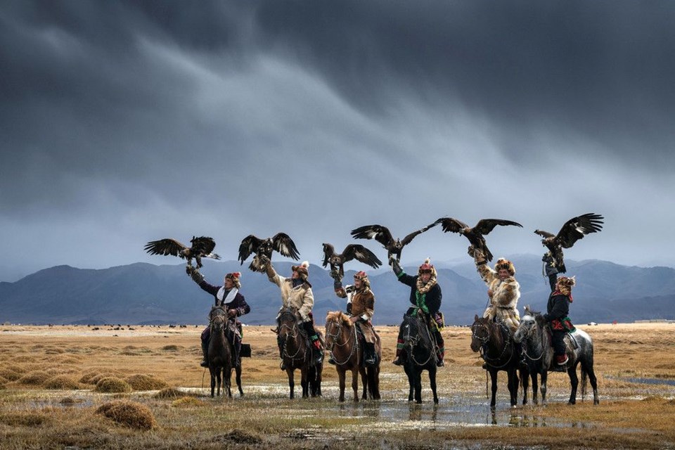 göçebe kartal avcıları, avcı kartallar, altın kartal festivali, moğolistan kartal avcılığı