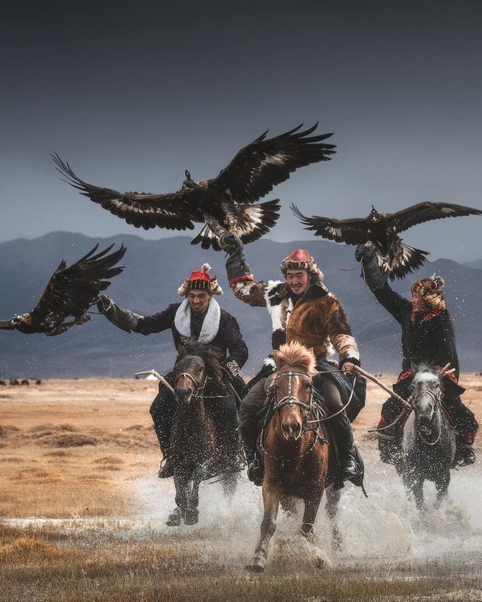 göçebe kartal avcıları, avcı kartallar, altın kartal festivali, moğolistan kartal avcılığı