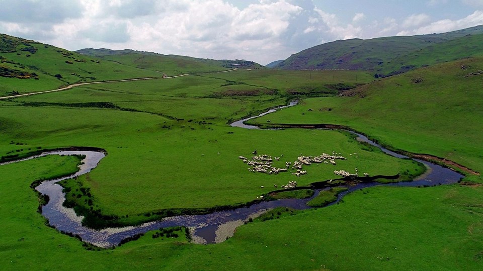 perşembe yaylası, ordu gezilecek yerler, menderesler, aybastı