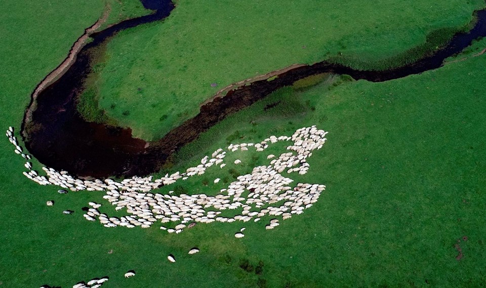 perşembe yaylası, ordu gezilecek yerler, menderesler, aybastı