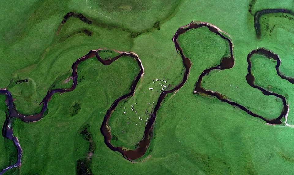 perşembe yaylası, ordu gezilecek yerler, menderesler, aybastı