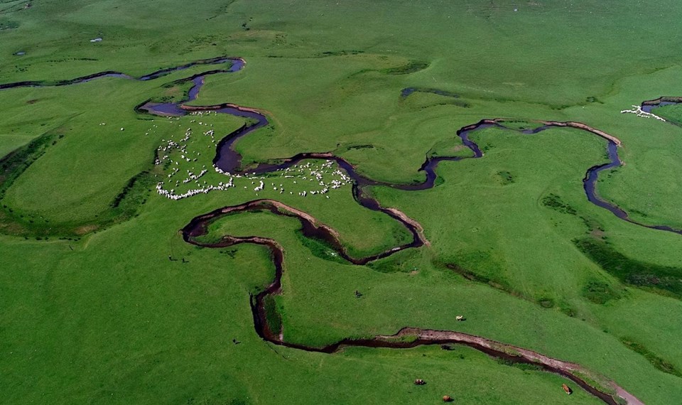 perşembe yaylası, ordu gezilecek yerler, menderesler, aybastı