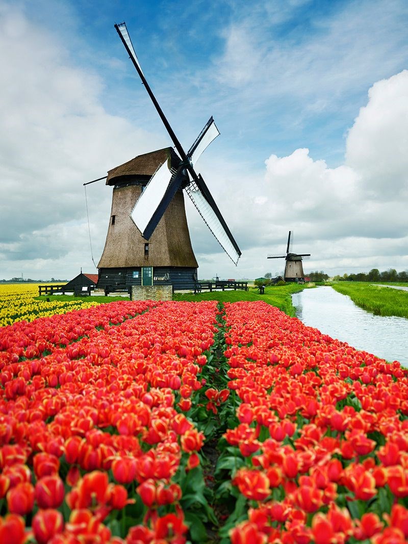 amsterdam, amsterdam rehberi, amsterdam gezilecek yerler, amsterdam gezi rehberi, amsterdam görülecek yerler, volendam, marken, edam, monnickendam, amsterdam köyleri