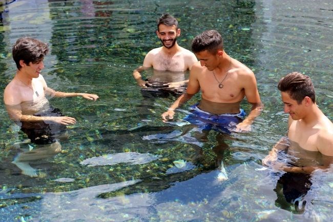 sivas gezilecek yerler, kangal kaplıcası, kangal balıklı kaplıcası, sivas doktor balıklar, doktor balıklar sedef, sedef hastalığına iyi gelen şeyler