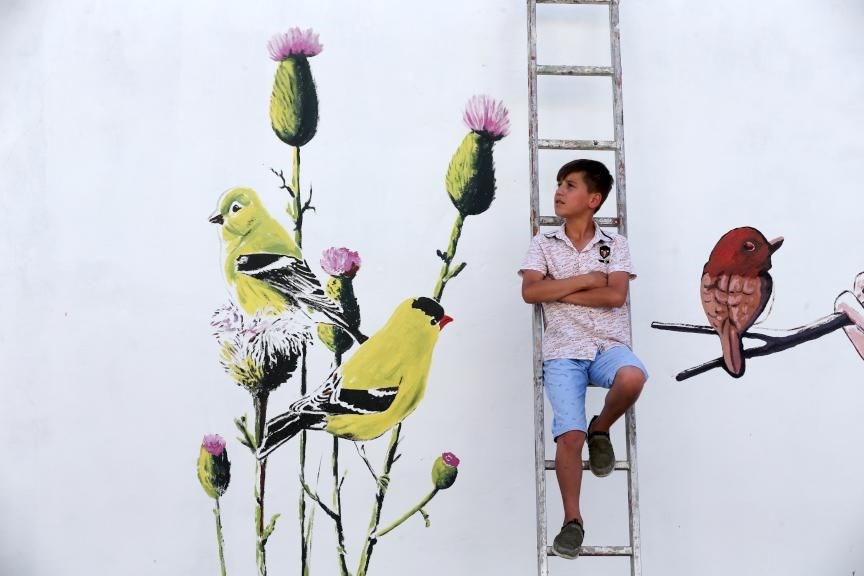 sokak sanatı, duvar resimleri, duvar çizimleri, van başkale, başkale belediyesi, başkale ilçesi nerede