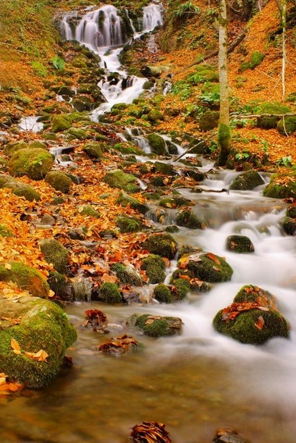 yedigöller, sonbahar rotaları, yedigöller fotoğrafları, yedigöller ulaşım, yedigöller bungalov evler, yedigöllerin isimleri, sonbaharda gidilecek yerler