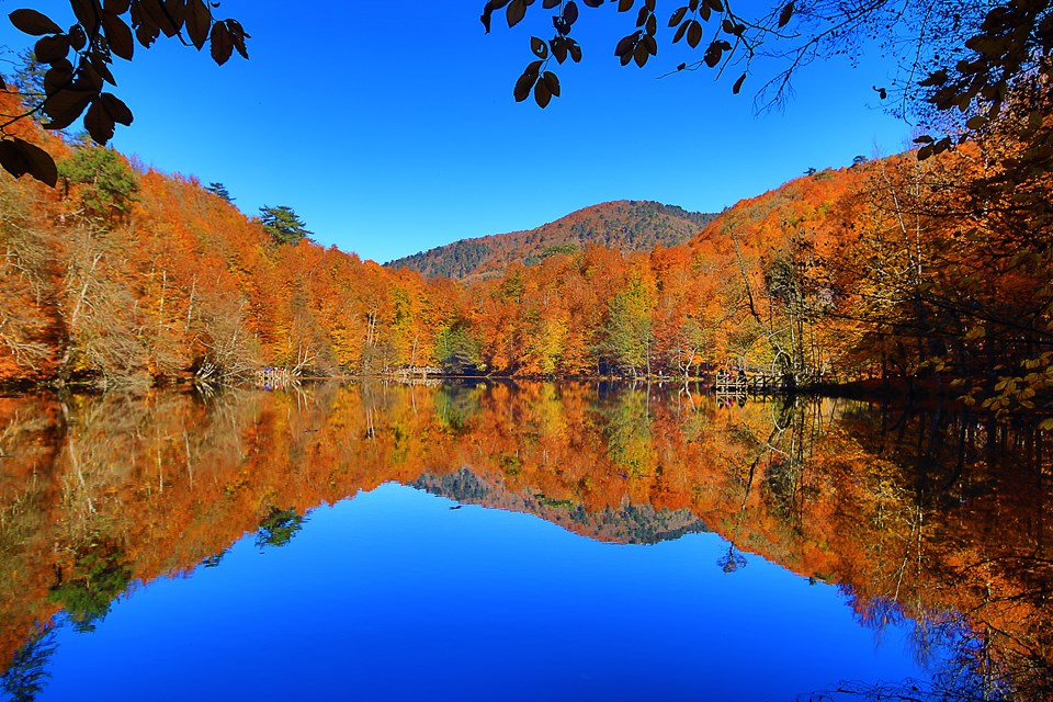 yedigöller, sonbahar rotaları, yedigöller fotoğrafları, yedigöller ulaşım, yedigöller bungalov evler, yedigöllerin isimleri, sonbaharda gidilecek yerler