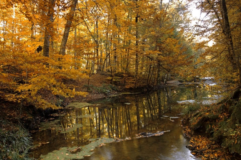 yedigöller, sonbahar rotaları, yedigöller fotoğrafları, yedigöller ulaşım, yedigöller bungalov evler, yedigöllerin isimleri, sonbaharda gidilecek yerler