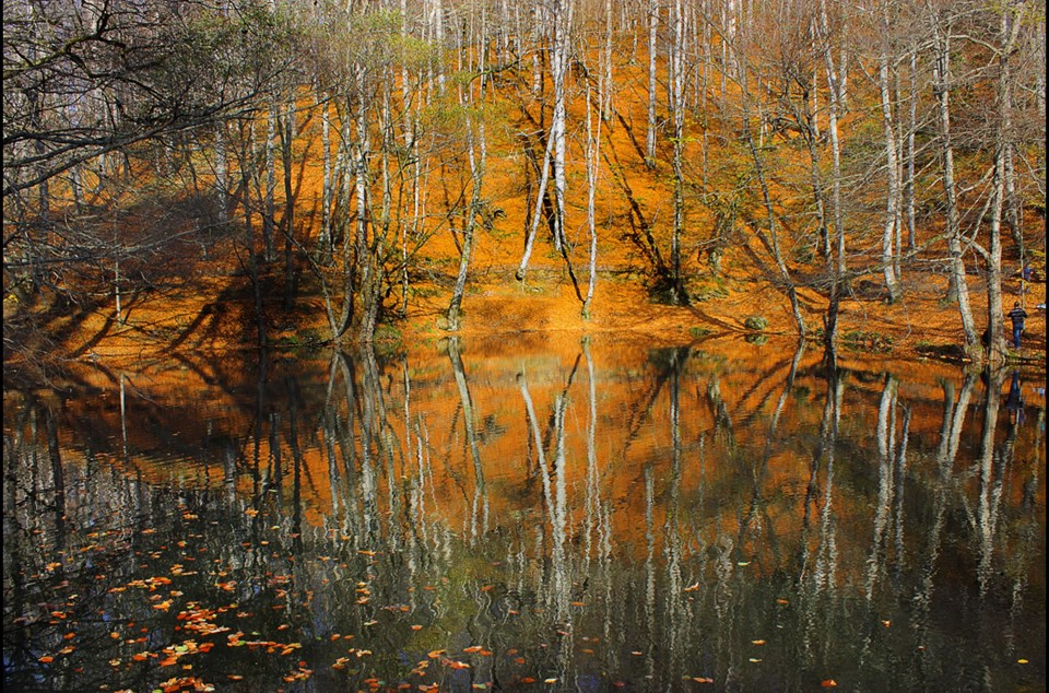 yedigöller, sonbahar rotaları, yedigöller fotoğrafları, yedigöller ulaşım, yedigöller bungalov evler, yedigöllerin isimleri, sonbaharda gidilecek yerler