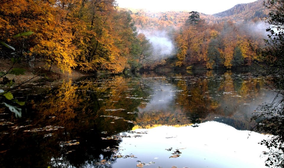 yedigöller, sonbahar rotaları, yedigöller fotoğrafları, yedigöller ulaşım, yedigöller bungalov evler, yedigöllerin isimleri, sonbaharda gidilecek yerler