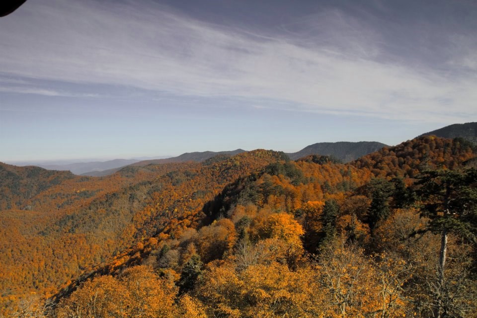 yedigöller, sonbahar rotaları, yedigöller fotoğrafları, yedigöller ulaşım, yedigöller bungalov evler, yedigöllerin isimleri, sonbaharda gidilecek yerler