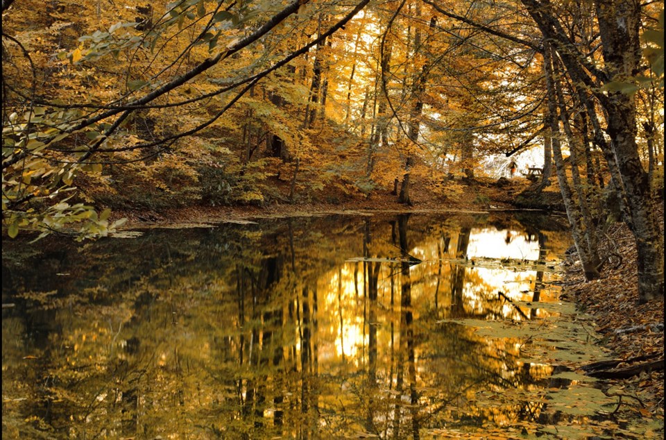 yedigöller, sonbahar rotaları, yedigöller fotoğrafları, yedigöller ulaşım, yedigöller bungalov evler, yedigöllerin isimleri, sonbaharda gidilecek yerler