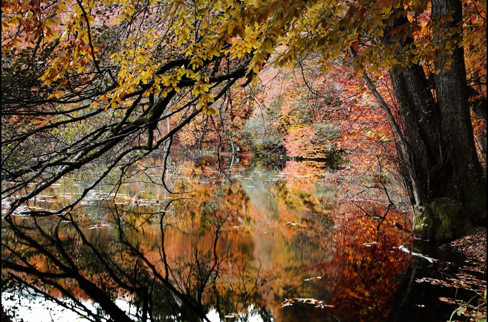yedigöller, sonbahar rotaları, yedigöller fotoğrafları, yedigöller ulaşım, yedigöller bungalov evler, yedigöllerin isimleri, sonbaharda gidilecek yerler