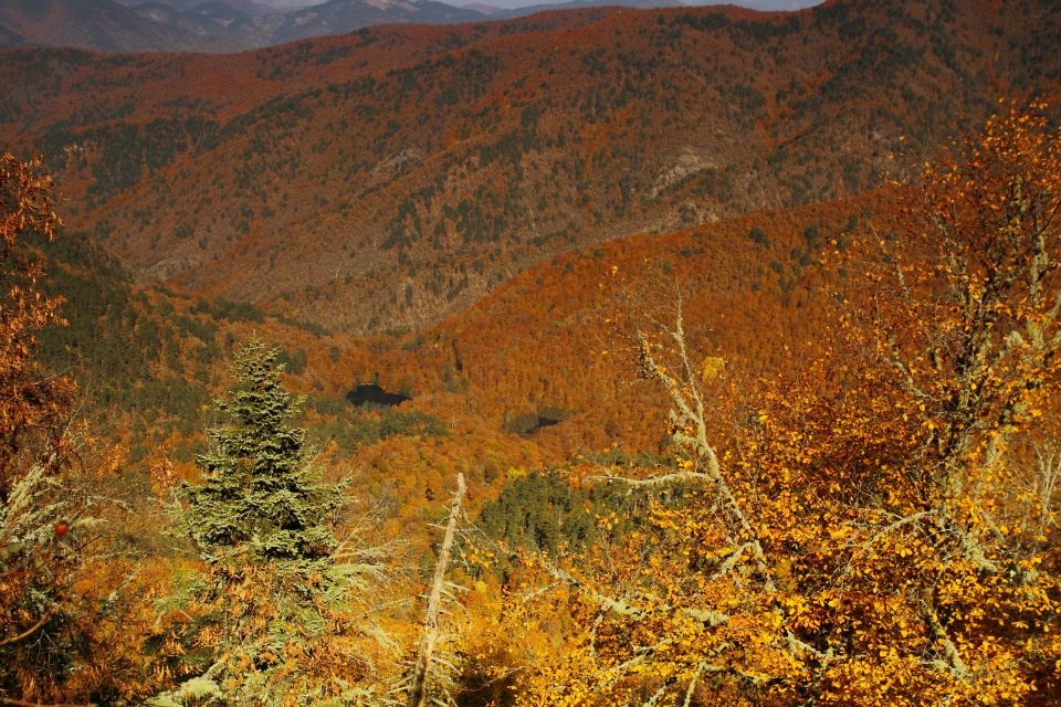 yedigöller, sonbahar rotaları, yedigöller fotoğrafları, yedigöller ulaşım, yedigöller bungalov evler, yedigöllerin isimleri, sonbaharda gidilecek yerler