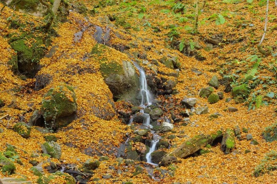 yedigöller, sonbahar rotaları, yedigöller fotoğrafları, yedigöller ulaşım, yedigöller bungalov evler, yedigöllerin isimleri, sonbaharda gidilecek yerler