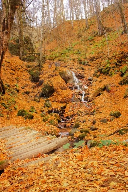 yedigöller, sonbahar rotaları, yedigöller fotoğrafları, yedigöller ulaşım, yedigöller bungalov evler, yedigöllerin isimleri, sonbaharda gidilecek yerler