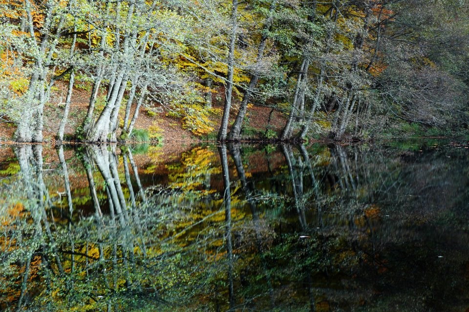 yedigöller, sonbahar rotaları, yedigöller fotoğrafları, yedigöller ulaşım, yedigöller bungalov evler, yedigöllerin isimleri, sonbaharda gidilecek yerler