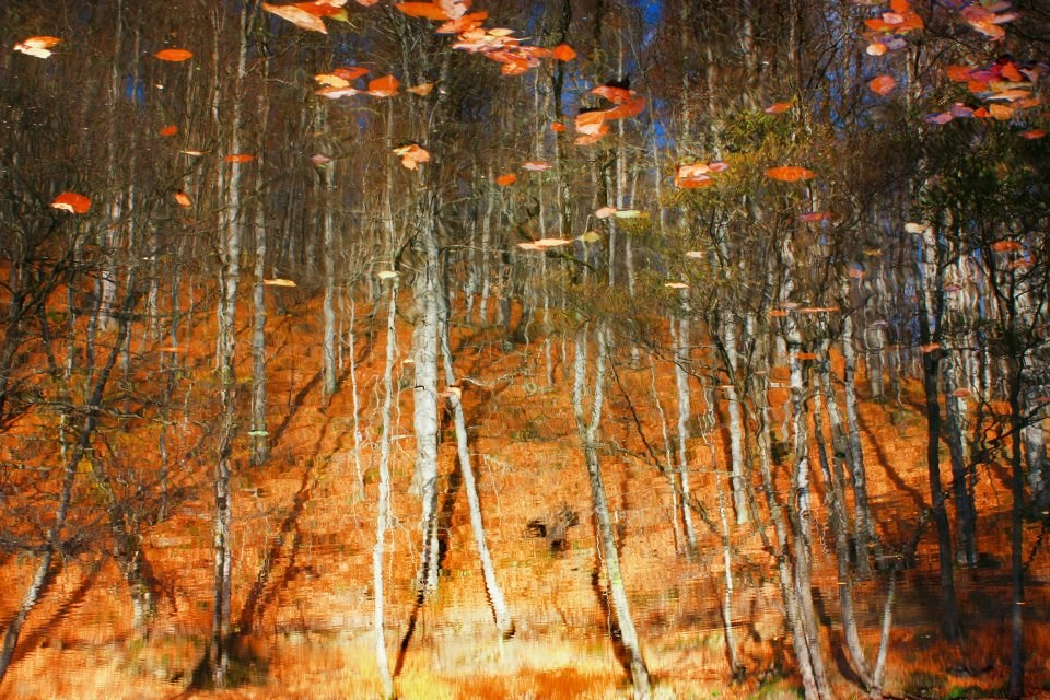 yedigöller, sonbahar rotaları, yedigöller fotoğrafları, yedigöller ulaşım, yedigöller bungalov evler, yedigöllerin isimleri, sonbaharda gidilecek yerler