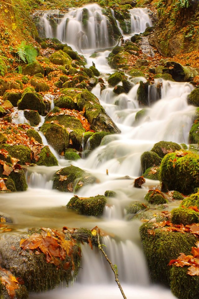 yedigöller, sonbahar rotaları, yedigöller fotoğrafları, yedigöller ulaşım, yedigöller bungalov evler, yedigöllerin isimleri, sonbaharda gidilecek yerler