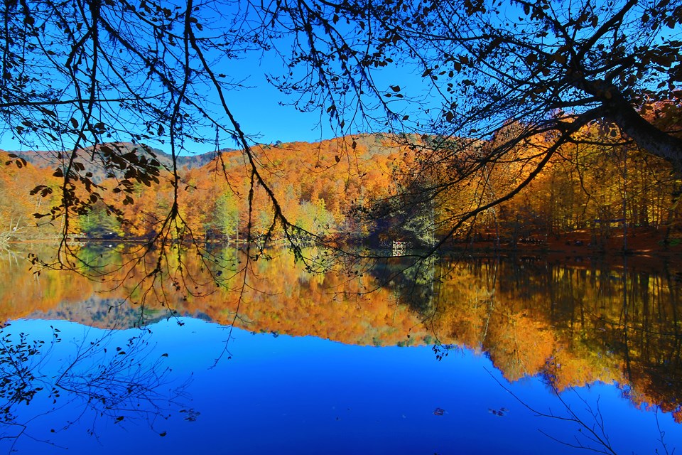 yedigöller, sonbahar rotaları, yedigöller fotoğrafları, yedigöller ulaşım, yedigöller bungalov evler, yedigöllerin isimleri, sonbaharda gidilecek yerler