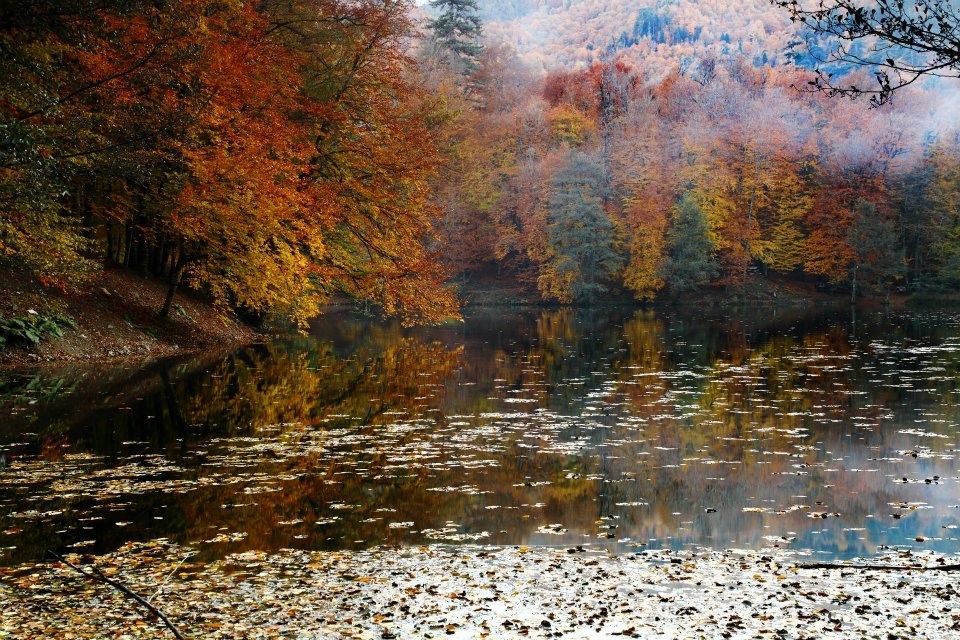 yedigöller, sonbahar rotaları, yedigöller fotoğrafları, yedigöller ulaşım, yedigöller bungalov evler, yedigöllerin isimleri, sonbaharda gidilecek yerler