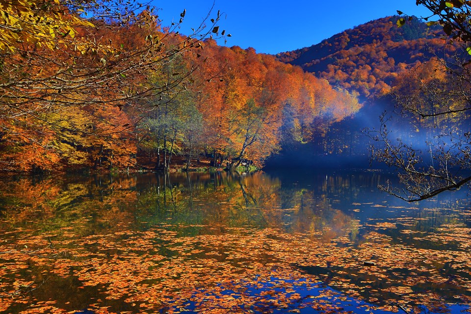 yedigöller, sonbahar rotaları, yedigöller fotoğrafları, yedigöller ulaşım, yedigöller bungalov evler, yedigöllerin isimleri, sonbaharda gidilecek yerler