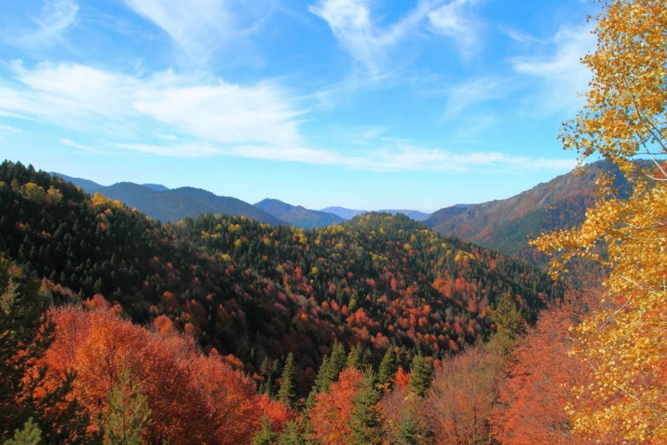 yedigöller, sonbahar rotaları, yedigöller fotoğrafları, yedigöller ulaşım, yedigöller bungalov evler, yedigöllerin isimleri, sonbaharda gidilecek yerler