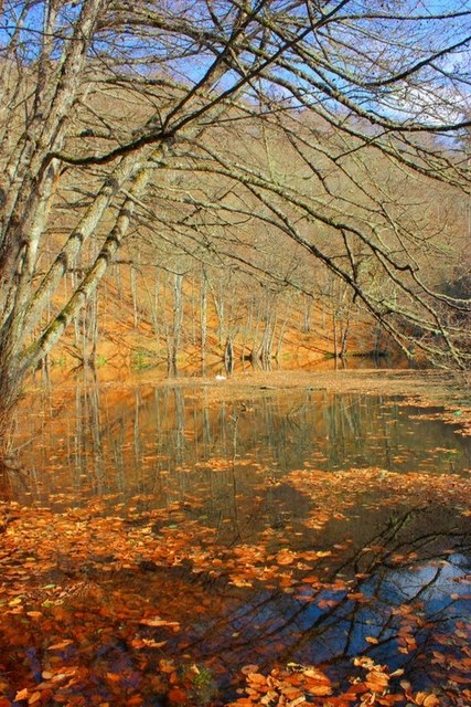 yedigöller, sonbahar rotaları, yedigöller fotoğrafları, yedigöller ulaşım, yedigöller bungalov evler, yedigöllerin isimleri, sonbaharda gidilecek yerler