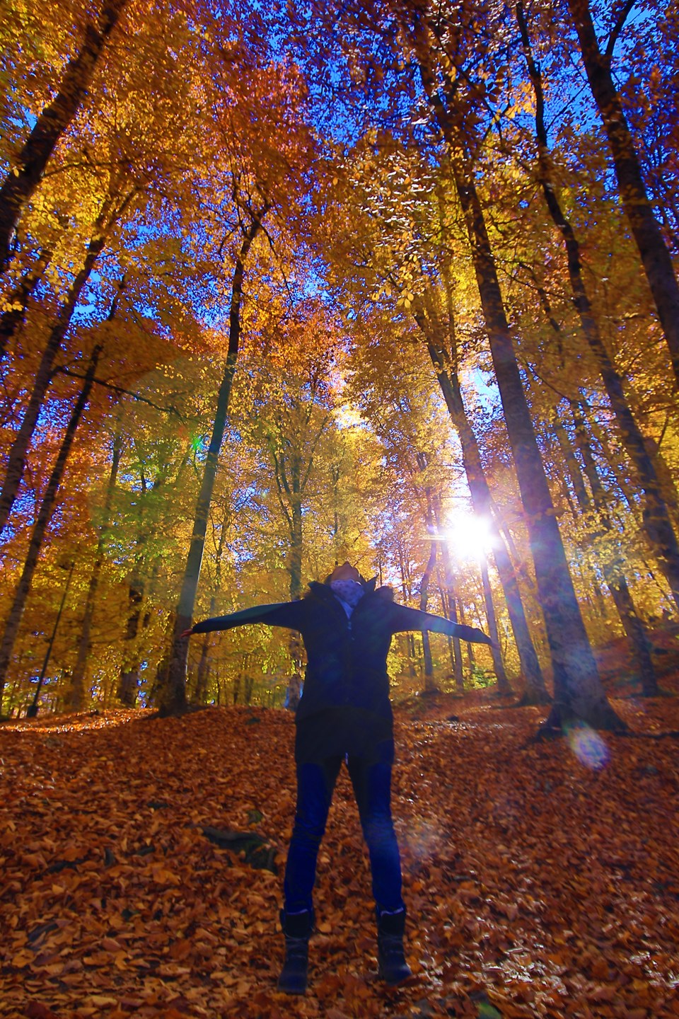 yedigöller, sonbahar rotaları, yedigöller fotoğrafları, yedigöller ulaşım, yedigöller bungalov evler, yedigöllerin isimleri, sonbaharda gidilecek yerler