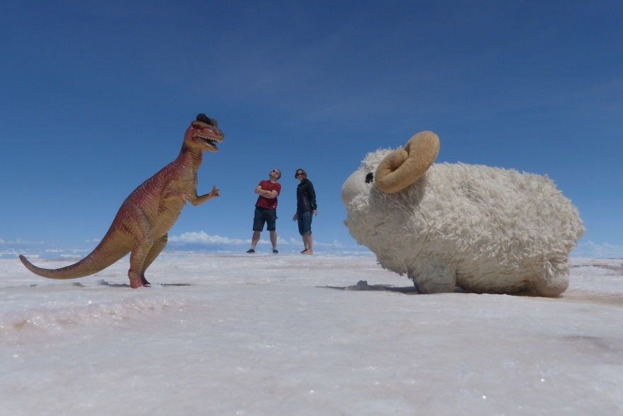 federica capozzi, gezgin koyun montone, sosyal medya fenomeni, dünya turu, instagram fenomeni hayvanlar, fenomen hayvanlar