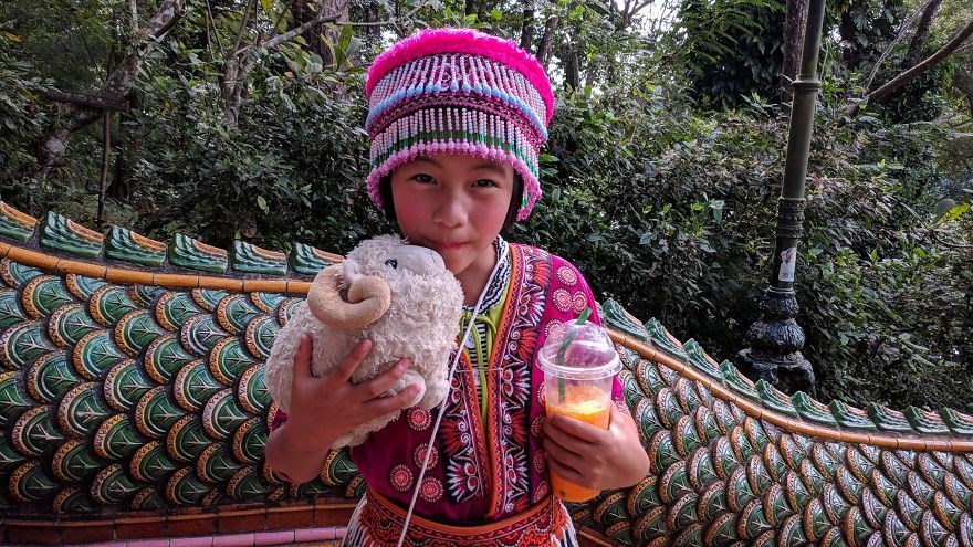 federica capozzi, gezgin koyun montone, sosyal medya fenomeni, dünya turu, instagram fenomeni hayvanlar, fenomen hayvanlar