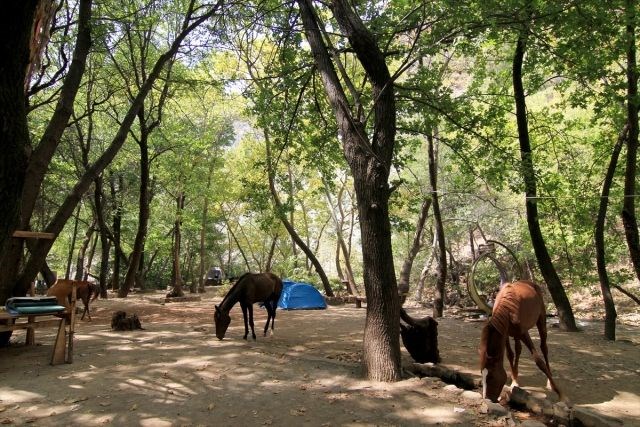 yeşil vadi fethiye, fethiye'de çadır kurulacak yerler, fethiye çadır kampı
