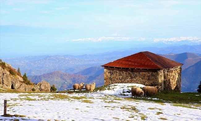 trabzon, hıdırnebi yaylası, uzungol, trabzon gezilecek yerler, akçaabat