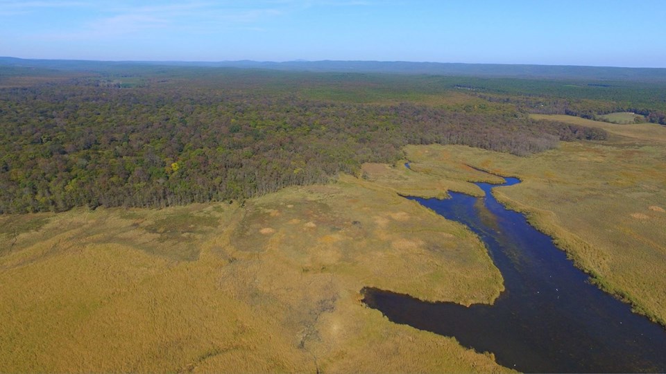 kırklareli gezilecek yerler, iğneada, longoz ormanları, iğneada ormanları