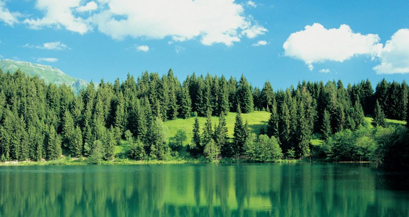 ARTVİN'İN HER KÖYÜ BİR YAYLA