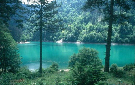 BOLU'DA DOĞANIN KUCAĞINDA