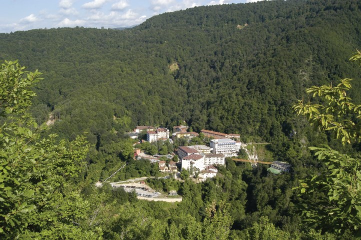 HEM KAPLICASI HEM YEŞİLİ: OYLAT