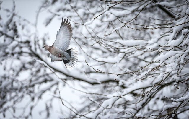 bursa, nilufer, kuçuk venedik, golyazı, golyazı mahallesi, avrupa'nın en guzel kasabaları