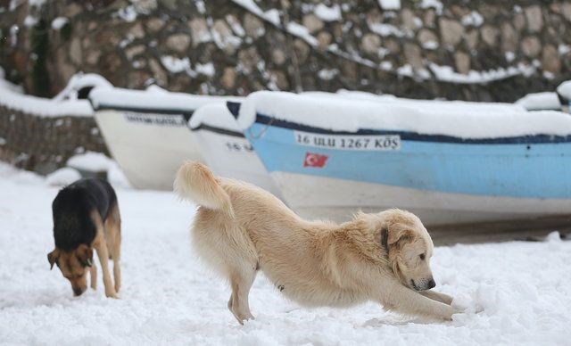 bursa, nilufer, kuçuk venedik, golyazı, golyazı mahallesi, avrupa'nın en guzel kasabaları