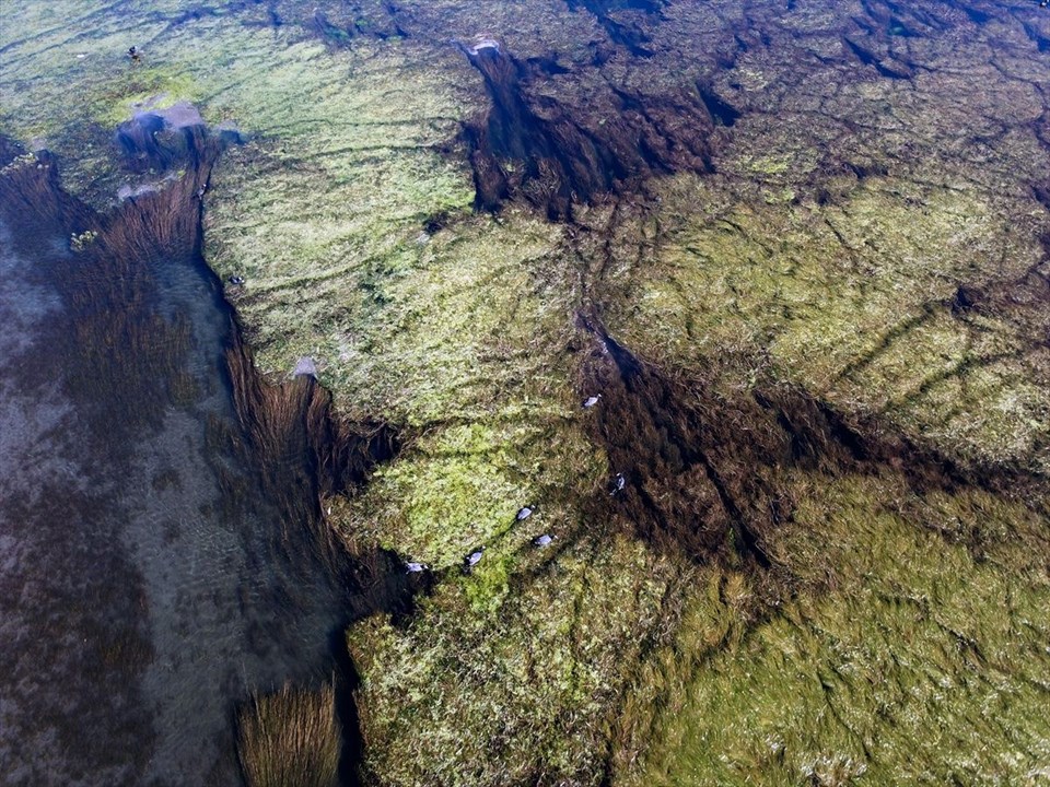 ağrı dağı, ağrı karasu, bulakbaşı, ağrı dağı etekleri, ağrı dağı akvaryum, ağrı dağı dalış