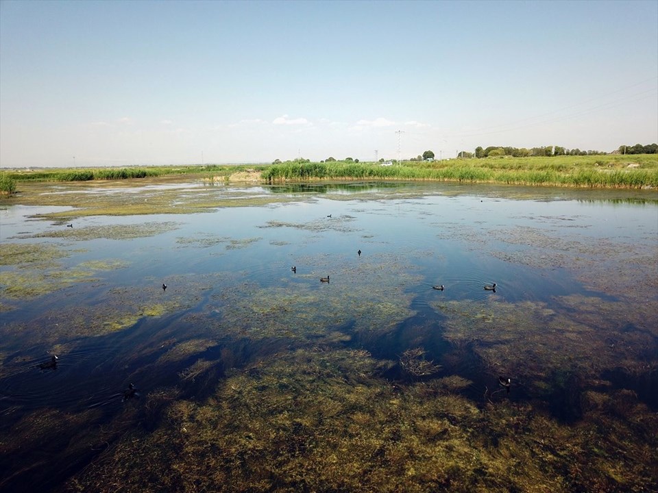ağrı dağı, ağrı karasu, bulakbaşı, ağrı dağı etekleri, ağrı dağı akvaryum, ağrı dağı dalış