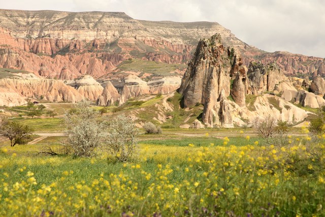 bağ bozumu, bağ bozumu rotaları, bağ bozumu ne zaman, bağ bozumu nerelerde yapılıyor, bozcaada bağ bozumu