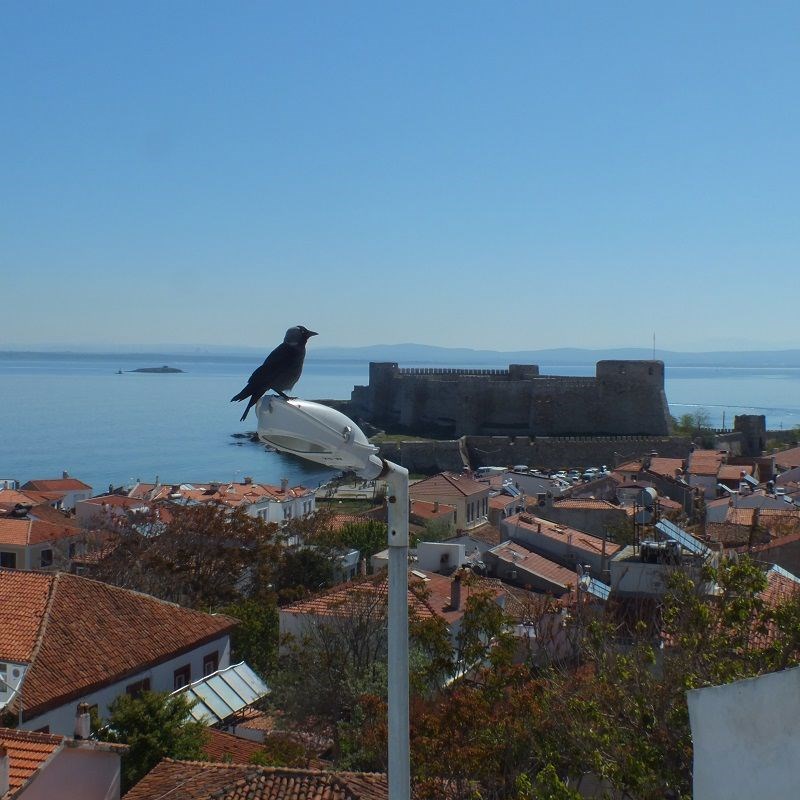 turkiye nin goz bebegi bozcaada