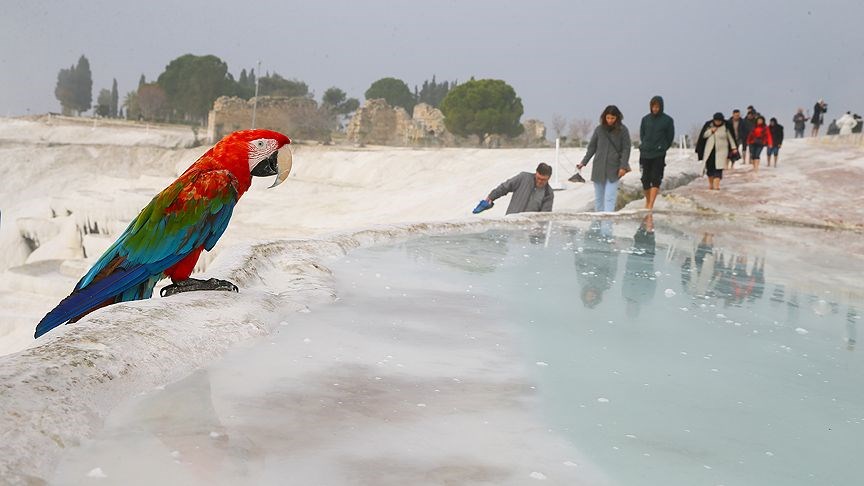 somestr tatili rotaları, turkiye'nin kış turizm merkezleri, somestr'de nereye gidilir, somestir tatili, somestir tatili onerileri