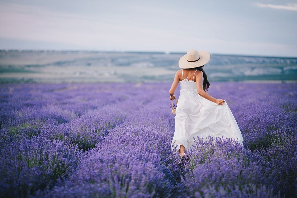 ekolojik tatil, kuyucak köyü, lavanta köyü, ısparta, lavanta kokulu köy, lavanta tarlası, lavanta turizmi, organik turizm, lavantalı ürünler