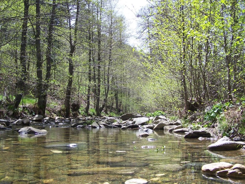 milli park, ülkemizdeki milli parklar, türkiye milli parklar, türkiye'nin milli parkları, türkiye milli parklar listesi, türkiyedeki milli parklar 2018, türkiye'deki milli parklar haritası