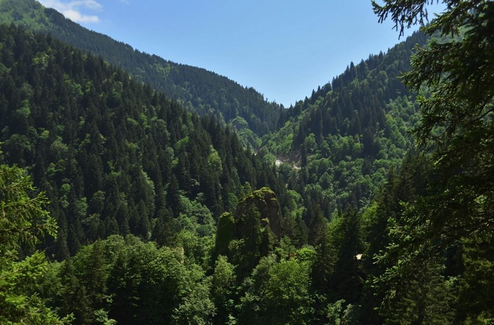 milli park, ülkemizdeki milli parklar, türkiye milli parklar, türkiye