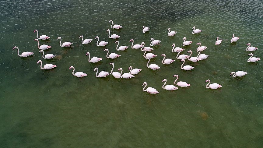 milli park, ülkemizdeki milli parklar, türkiye milli parklar, türkiye'nin milli parkları, türkiye milli parklar listesi, türkiyedeki milli parklar 2018, türkiye'deki milli parklar haritası
