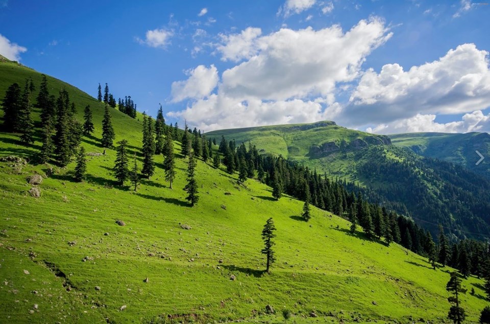 milli park, ülkemizdeki milli parklar, türkiye milli parklar, türkiye